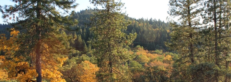 Grants Pass