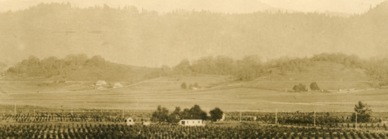 Sutherlin